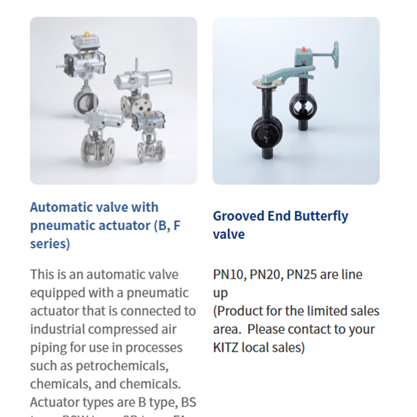 KITZ日本開滋閥門、10K電動(dòng)蝶閥EXS100-10DJUE-300A