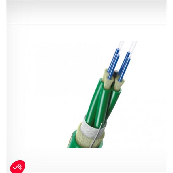 英國scaime兩端帶法蘭緊湊扭矩計DF2553-20Nm