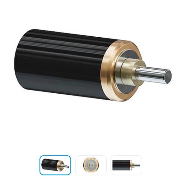 德國FAULHABER福爾哈貝線性執(zhí)行器32L 14:1 KC2 TL 10x2 200 KWN6